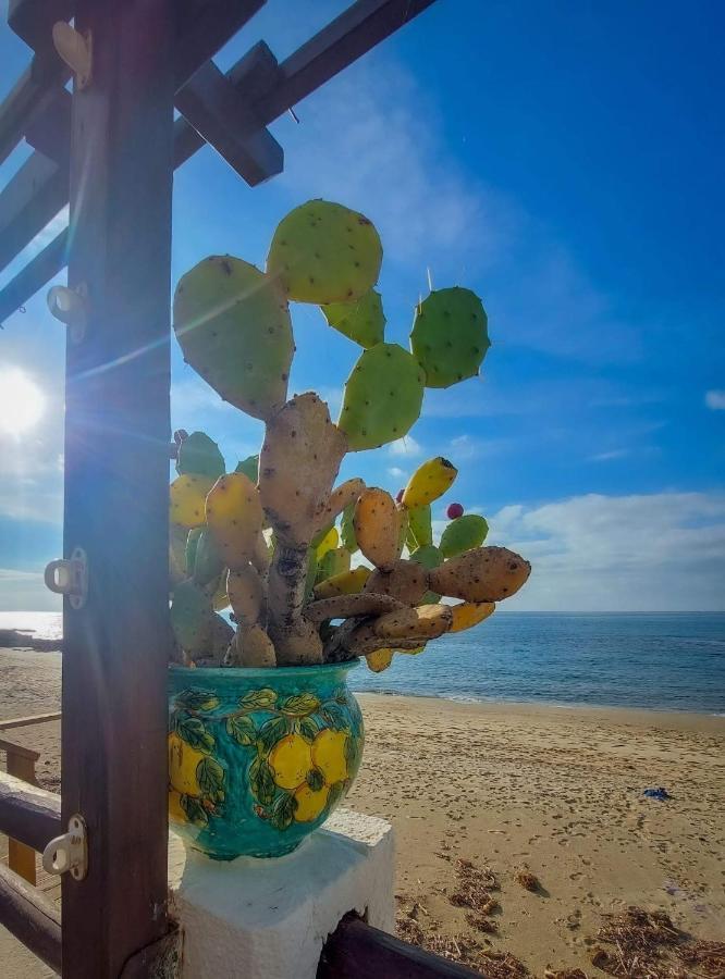 Appartamento La Coffa Agnone Cilento Экстерьер фото