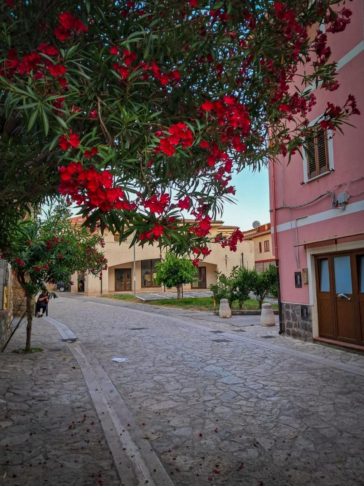 Appartamento La Coffa Agnone Cilento Экстерьер фото